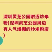 深圳灵芝公园附近炒米粉(深圳灵芝公园周边有人气爆棚的炒米粉店)