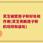 灵芝破壁孢子粉好处和作用(灵芝壳断孢子粉的功效和益处)