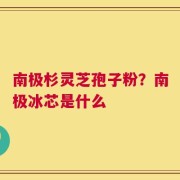南极杉灵芝孢子粉？南极冰芯是什么