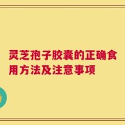 灵芝孢子胶囊的正确食用方法及注意事项