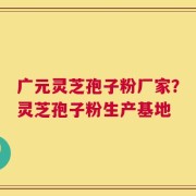 广元灵芝孢子粉厂家？灵芝孢子粉生产基地