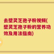 去壁灵芝孢子粉视频(壁灵芝孢子粉的营养功效及用法指南)