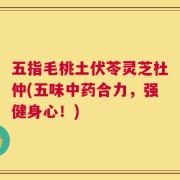 五指毛桃土伏苓灵芝杜仲(五味中药合力，强健身心！)