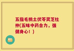 五指毛桃土伏苓灵芝杜仲(五味中药合力，强健身心！)