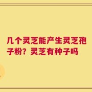 几个灵芝能产生灵芝孢子粉？灵芝有种子吗