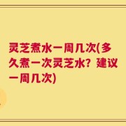 灵芝煮水一周几次(多久煮一次灵芝水？建议一周几次)