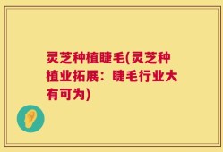 灵芝种植睫毛(灵芝种植业拓展：睫毛行业大有可为)