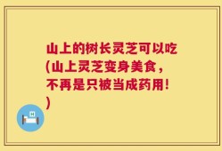 山上的树长灵芝可以吃(山上灵芝变身美食，不再是只被当成药用!)