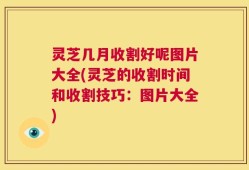 灵芝几月收割好呢图片大全(灵芝的收割时间和收割技巧：图片大全)