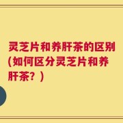 灵芝片和养肝茶的区别(如何区分灵芝片和养肝茶？)