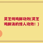 灵芝炖鸡脚功效(灵芝鸡脚汤的惊人功效！)