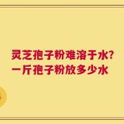 灵芝孢子粉难溶于水？一斤孢子粉放多少水