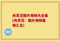 肉灵芝图片视频大全集(肉灵芝：图片视频集锦汇总)
