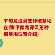 平陵龙潭灵芝种植基地在哪(平陵龙潭灵芝种植基地位置介绍)