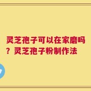 灵芝孢子可以在家磨吗？灵芝孢子粉制作法