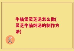 牛腩煲灵芝汤怎么做(灵芝牛腩炖汤的制作方法)