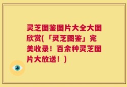 灵芝图鉴图片大全大图欣赏(「灵芝图鉴」完美收录！百余种灵芝图片大放送！)