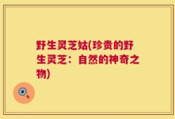 野生灵芝姑(珍贵的野生灵芝：自然的神奇之物)
