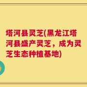 塔河县灵芝(黑龙江塔河县盛产灵芝，成为灵芝生态种植基地)