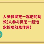 人参和灵芝一起泡的功效(人参与灵芝一起泡水的功效及作用)