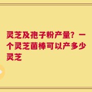 灵芝及孢子粉产量？一个灵芝菌棒可以产多少灵芝