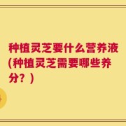 种植灵芝要什么营养液(种植灵芝需要哪些养分？)