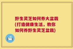 野生灵芝如何养大盆栽(打造健康生活，教你如何养野生灵芝盆栽)
