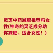 灵芝中药减肥推荐吗女性(神奇的灵芝成分助你减肥，适合女性！)