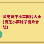 灵芝妹子小菜图片大全(灵芝小菜妹子图片合辑)