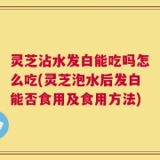 灵芝沾水发白能吃吗怎么吃(灵芝泡水后发白能否食用及食用方法)