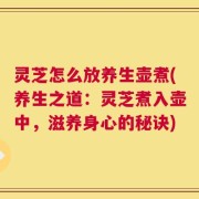 灵芝怎么放养生壶煮(养生之道：灵芝煮入壶中，滋养身心的秘诀)