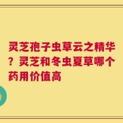 灵芝孢子虫草云之精华？灵芝和冬虫夏草哪个药用价值高