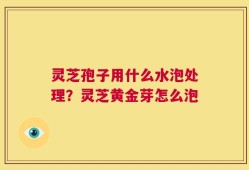 灵芝孢子用什么水泡处理？灵芝黄金芽怎么泡