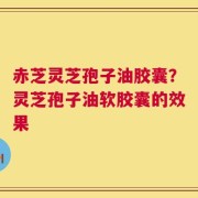 赤芝灵芝孢子油胶囊？灵芝孢子油软胶囊的效果