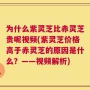 为什么紫灵芝比赤灵芝贵呢视频(紫灵芝价格高于赤灵芝的原因是什么？——视频解析)