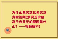 为什么紫灵芝比赤灵芝贵呢视频(紫灵芝价格高于赤灵芝的原因是什么？——视频解析)