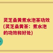 灵芝桑黄煮水泡茶功效(灵芝桑黄茶：煮水泡的功效和好处)