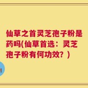 仙草之首灵芝孢子粉是药吗(仙草首选：灵芝孢子粉有何功效？)