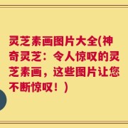 灵芝素画图片大全(神奇灵芝：令人惊叹的灵芝素画，这些图片让您不断惊叹！)