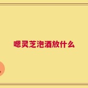 嗯灵芝泡酒放什么