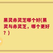 黑灵赤灵芝哪个好(黑灵与赤灵芝，哪个更好？)