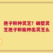 孢子粉种灵芝？破壁灵芝孢子粉能种出灵芝么
