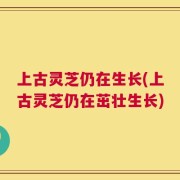 上古灵芝仍在生长(上古灵芝仍在茁壮生长)