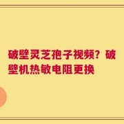 破壁灵芝孢子视频？破壁机热敏电阻更换
