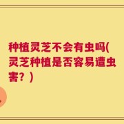 种植灵芝不会有虫吗(灵芝种植是否容易遭虫害？)