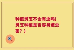 种植灵芝不会有虫吗(灵芝种植是否容易遭虫害？)