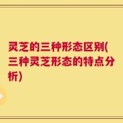 灵芝的三种形态区别(三种灵芝形态的特点分析)