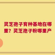 灵芝孢子育种基地在哪里？灵芝孢子粉哪里产