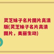 灵芝妹子名片图片高清版(灵芝妹子名片高清图片，美丽生动)