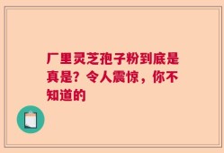 厂里灵芝孢子粉到底是真是？令人震惊，你不知道的